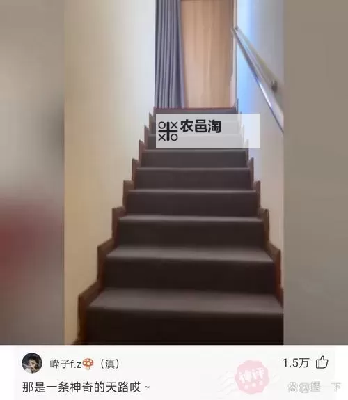 《在楼梯里要你:爱与等待的旋律》图1