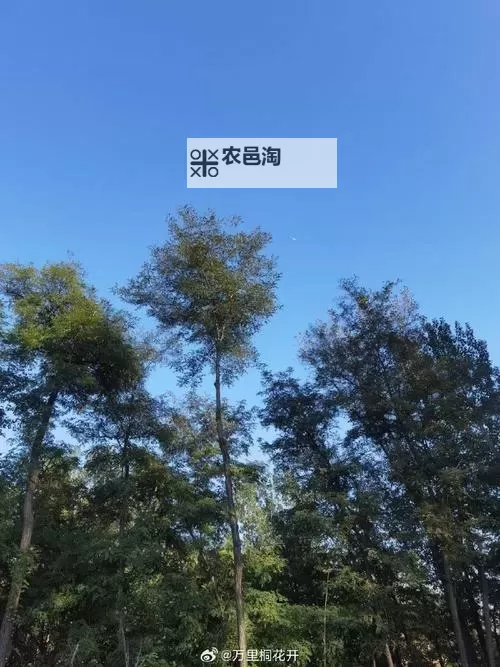 四虎AV无码专区亚洲:最新在线观看指南与精彩内容推荐图1