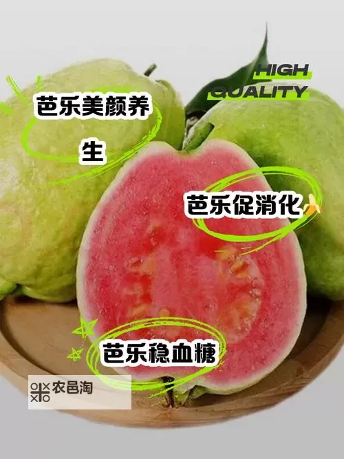 xfb幸福宝：香蕉、茄子、丝瓜与芭乐的美味之旅图1