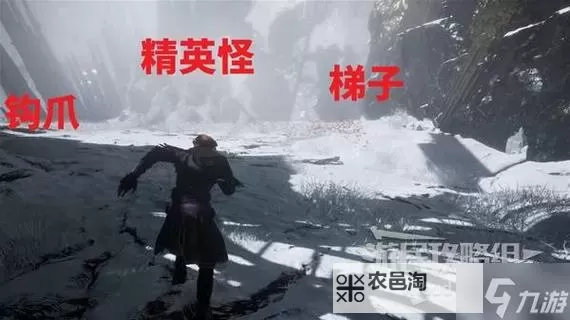 《光与影33号远征队》吕涅悬珠结获取方法 悬珠结属性及词条一览图1