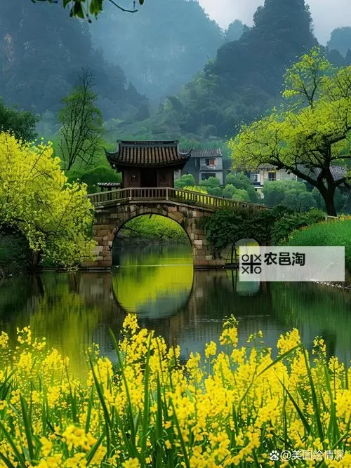 《逸剑风云决》羊脂净瓶图纸获得方法图1