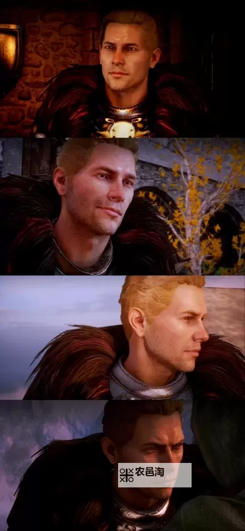 龙腾世纪:审判 转职任务触发方法图1