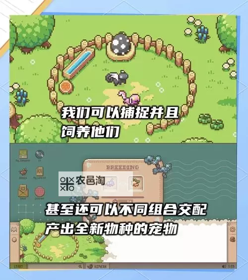 皮宠电脑版下载 怎么电脑玩皮宠？图2