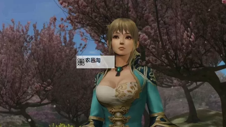 真三国无双7:猛将传 王元姬究极飞毛腿追捕战S全战功图1