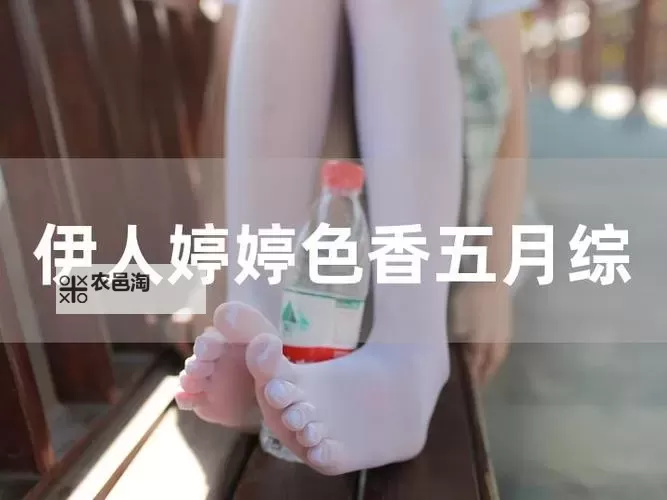 五月婷六月香:青春的绽放与芳华的诗篇图1