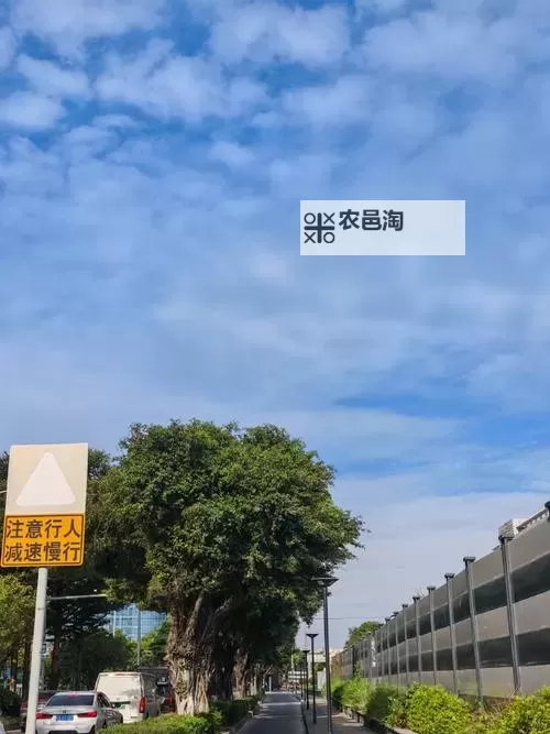 AZRAEL怎么双开 AZRAEL双开挂机软件推荐图1