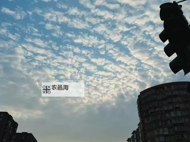 AZRAEL怎么双开 AZRAEL双开挂机软件推荐图2