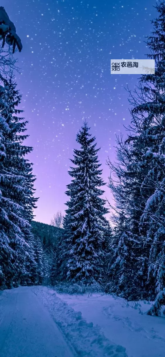 《哈迪斯2》暗夜武器一览图1