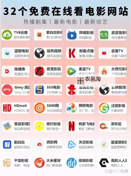 2021年在线观看视频网站源码大全分享——完整源码指南图2