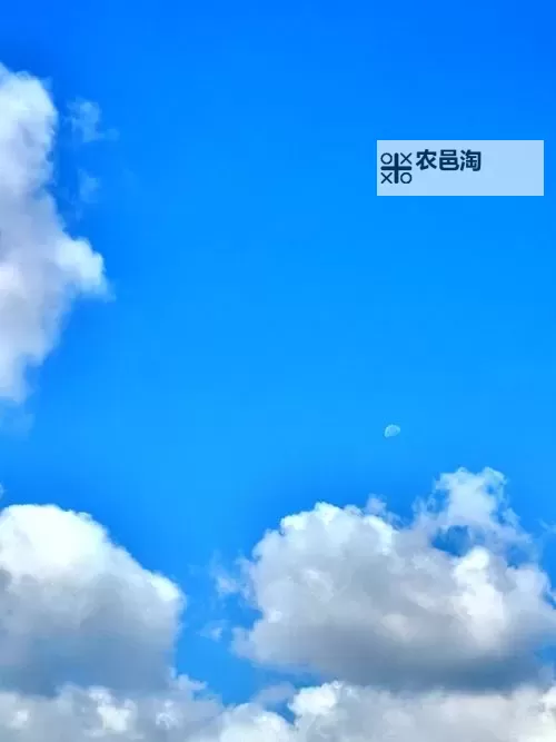 英雄挂外域如何双开 2021最新双开神器来袭图2