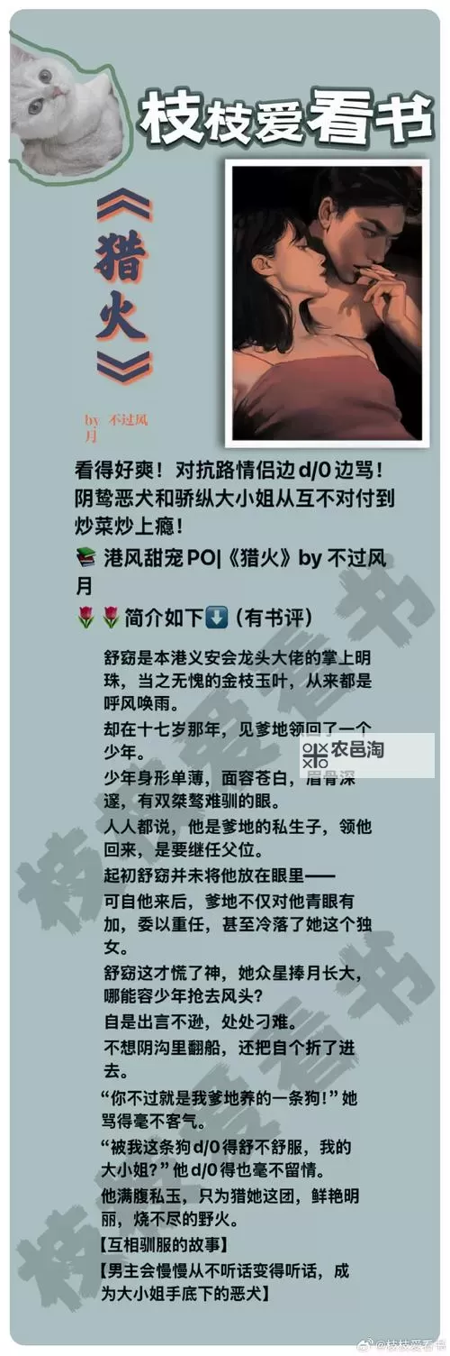 烈火星辰挂机软件&双开软件推荐  轻松搞定烈火星辰双开和挂机图2