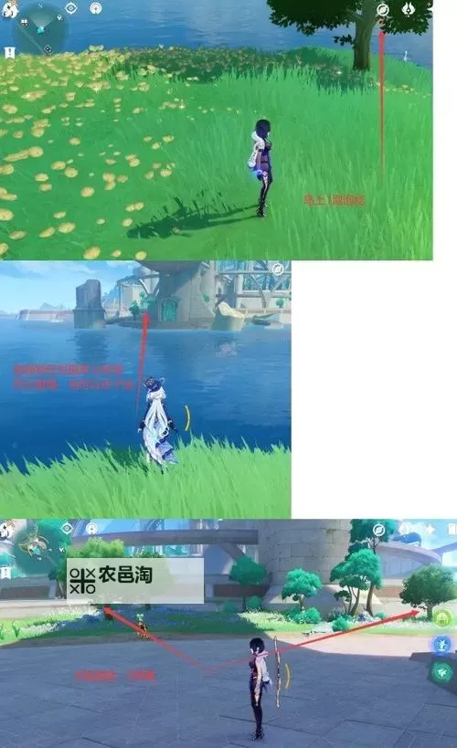 《原神》泡泡桔采集线路推荐 泡泡桔怎么获得图1