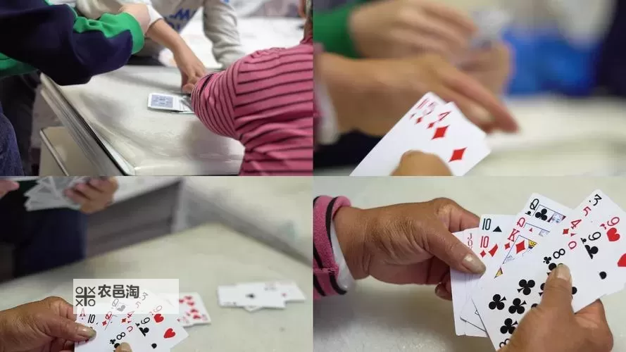 免费在线观看打扑克高清视频在线观看,尽享精彩牌局体验图1