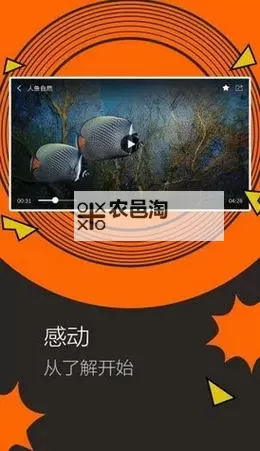 美味秘籍:鱿鱼直接进入锅中,快速锁住鲜香图1