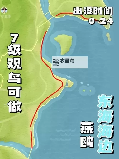 《心动小镇》全鸟类出现时间与地点一览 观鸟拍照技巧分享图2
