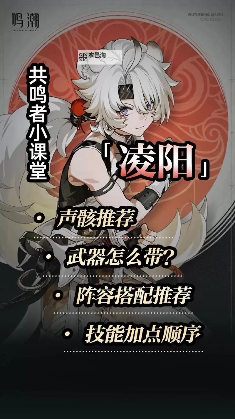 《鸣潮》凌阳培养一图流 凌阳声骸及配队推荐图1