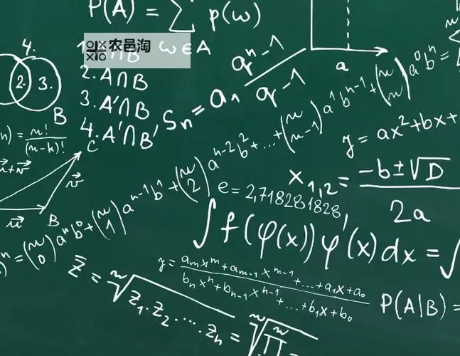 元次等术语是谁创造的：探索其起源与发展图1