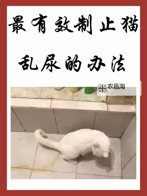 别～别揉了～要尿了：青春期的尴尬瞬间图1