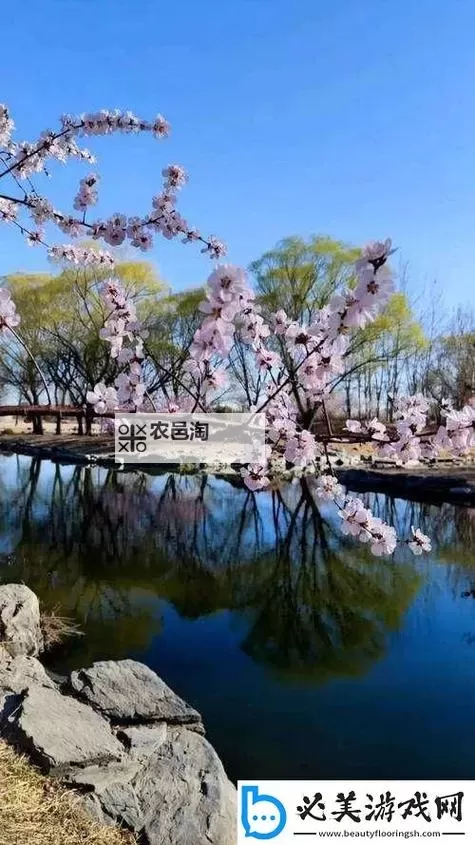 四月天的芳华：亭亭玉立、国色天香的美丽风华图1