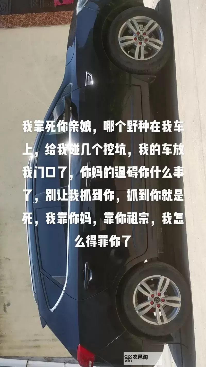 在车里就迫不及待要你:激情瞬间的炙热邂逅图1