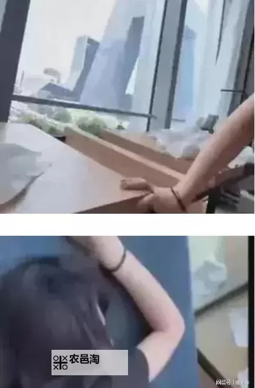 张津渝和吕知樾：免费看精彩内容尽在其中图1