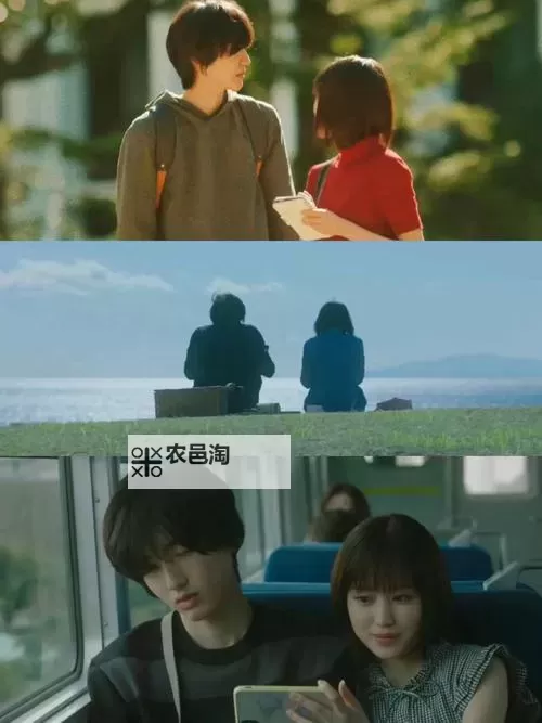 2022中文字幕最新资源合集，免费在线观看高清影片图1