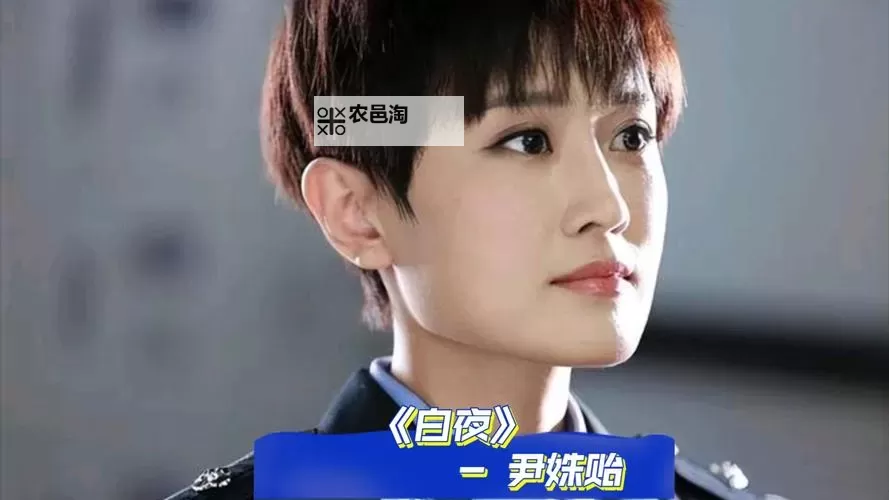 白夜影视网：畅享海量高清影视资源的首选平台图1