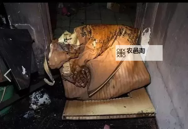 浴室20天少女:隐秘的成长与迷离的青春记忆图1