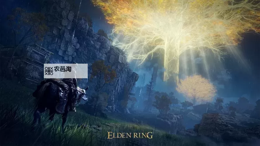 《艾尔登法环》各平台版本画面表现对比 各平台最高画质支持详情图1