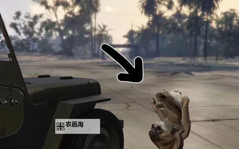 《GTAOL》全海底迷幻仙人掌位置一览 水下仙人掌在哪图2