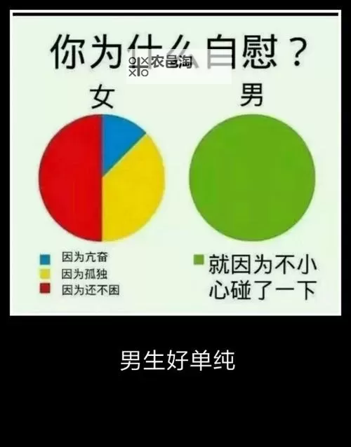 怎么自己自W视频教程：详细步骤与实用技巧分享图2