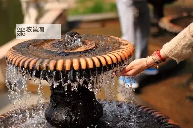 怎样把自己玩成喷泉：打造内心的自由与激情图1