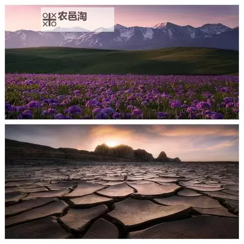 五月天堂localhost:穿越代码的梦幻之地图1