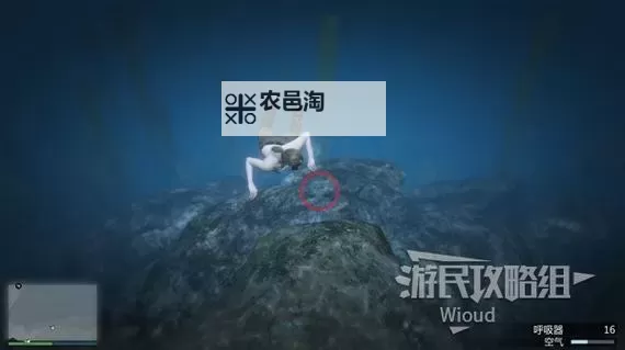 《GTAOL》全海底迷幻仙人掌位置一览 水下仙人掌在哪图1