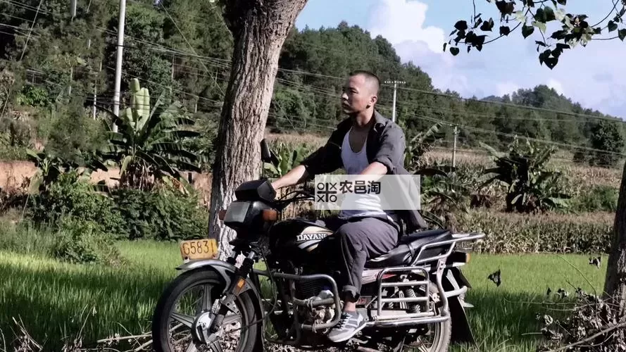 真实国产乱子伦露脸:探索国产电影的真实魅力图1