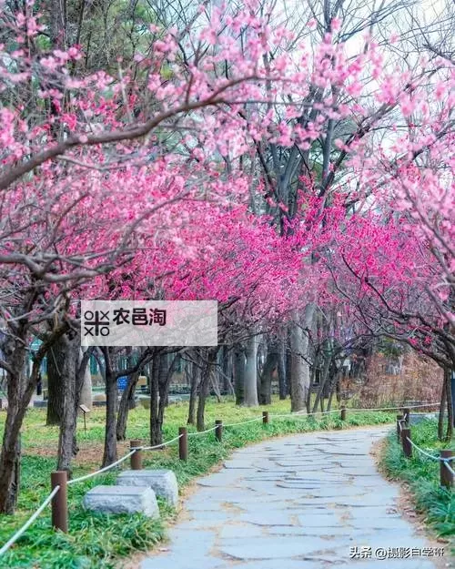 证监会吴清重磅发声：加强市场监管促资本市场健康发展图1