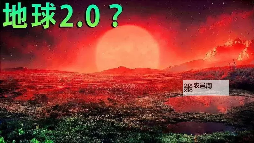 早上躁晚上躁天天躁：开启充满活力的8090生活节奏图1