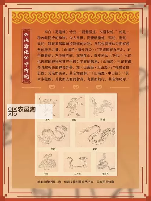 濡沫江湖金蛇藏宝图怎么走? 濡沫江湖金蛇宝藏图怎么选?图1