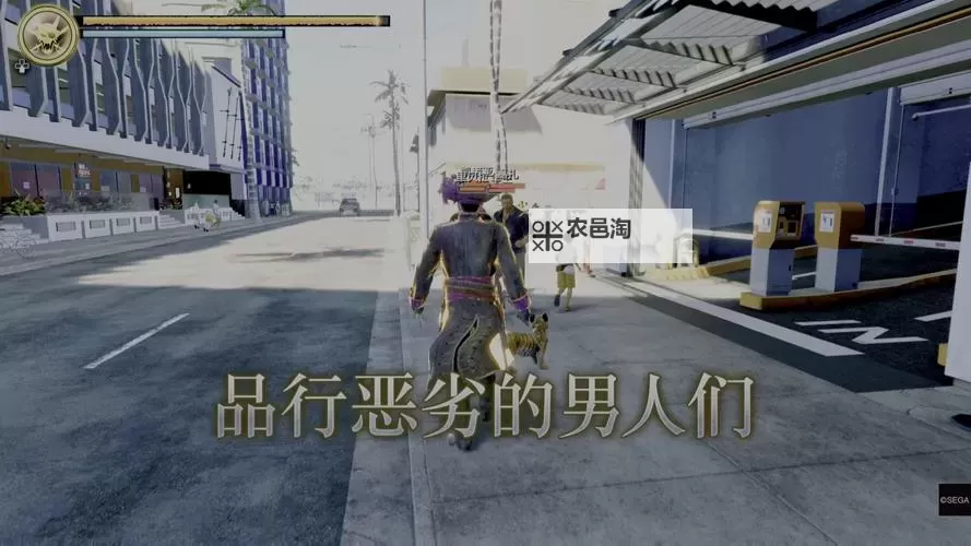 《如龙8外传夏威夷海盗》肌肉博士证书考试正确答案一览图2