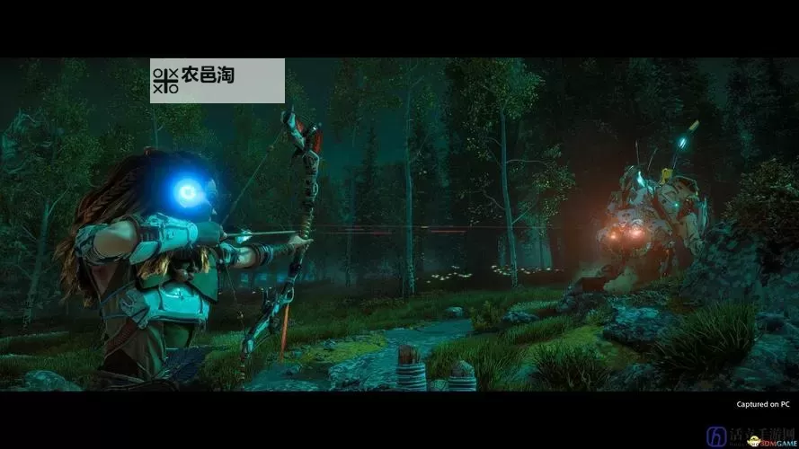 《地平线黎明时分》练习机位置图文一览 练习机位置在哪图1