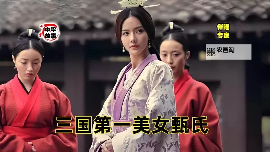 《三国志13》完美甄姬迎娶教程 完美甄姬怎么娶图1