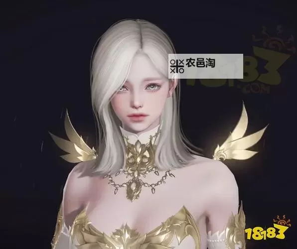 《命运方舟》捏脸数据导入方法 怎么导入捏脸数据图1