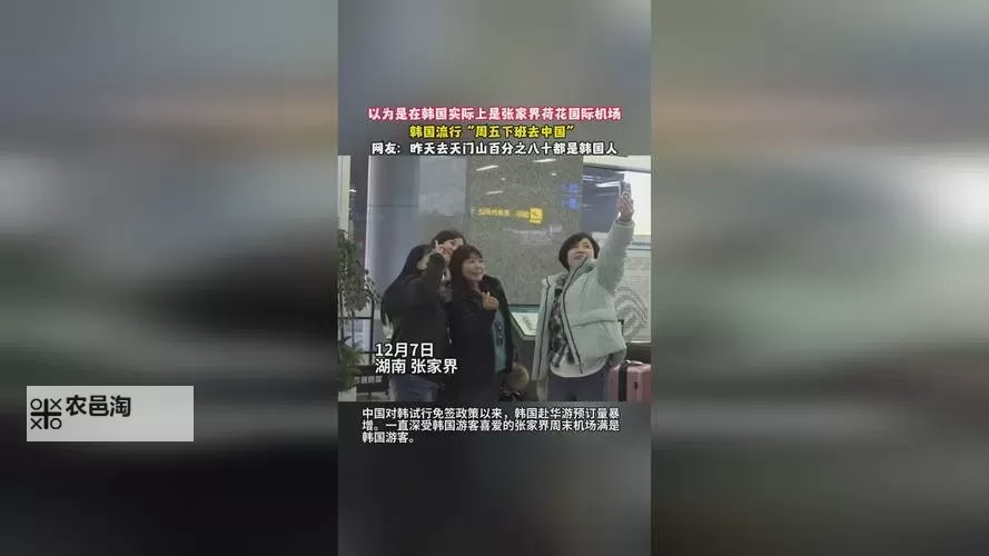 免费在线观看:一起草在线地址中文字幕全网收录图1