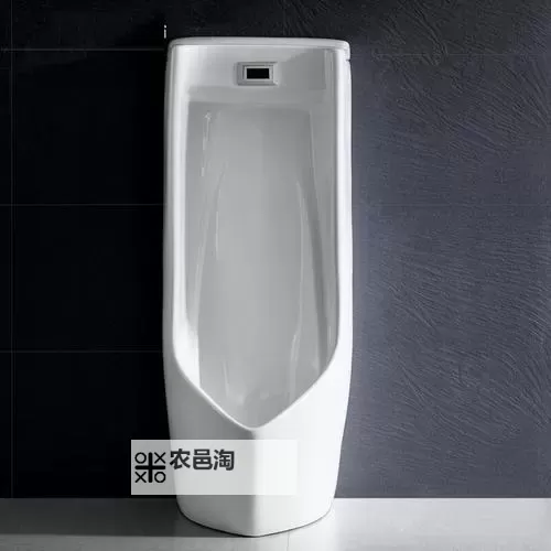 关于主人的尿便器H：使用指南与注意事项图1