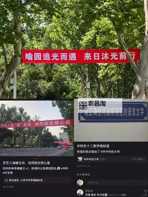 守护森林的使者:解密啄木鸟行动的生态奇迹图1