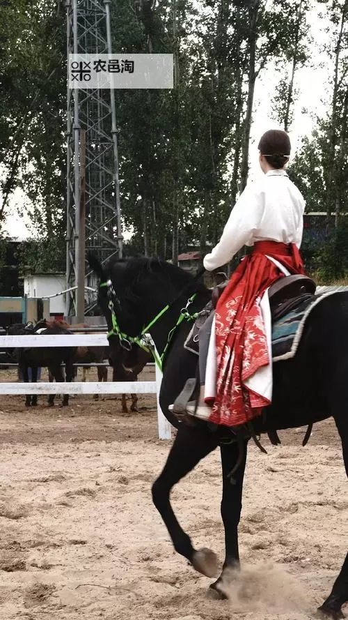 坐在有木棒的马鞍上难受：骑马时的不适与反思图1