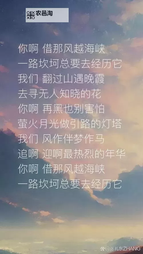 硬邦邦的少年软软的你是什么歌:那些关于成长与柔情的歌谣图1