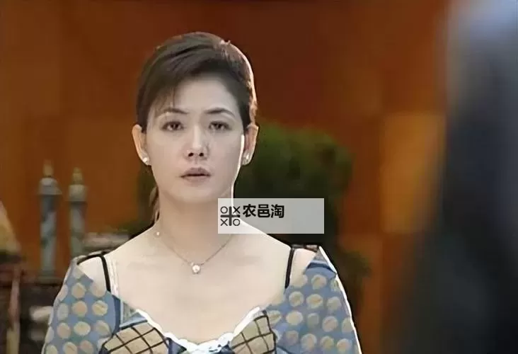 再见阿郎第三部:故事的终章与新希望图1