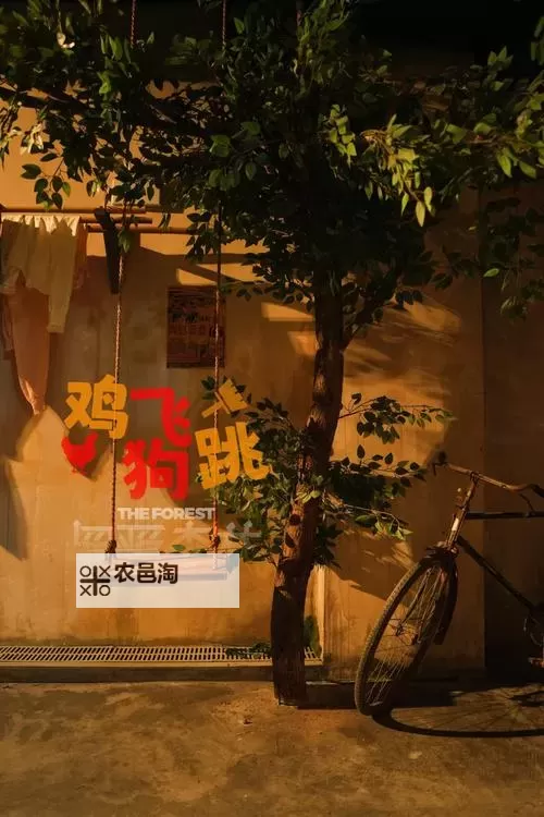 坐在鸡上写作业好疼:难以想象的奇特体验图1