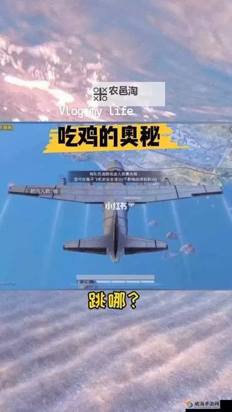 用嘴巴吃鸡为什么会大:科学揭秘与健康建议图2